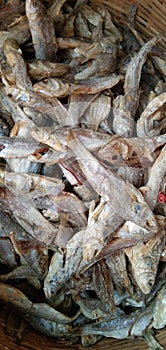 Dry fish ðŸŸ snack and testi